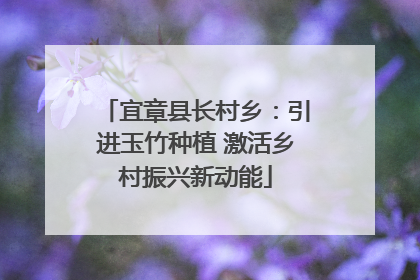 宜章县长村乡：引进玉竹种植 激活乡村振兴新动能